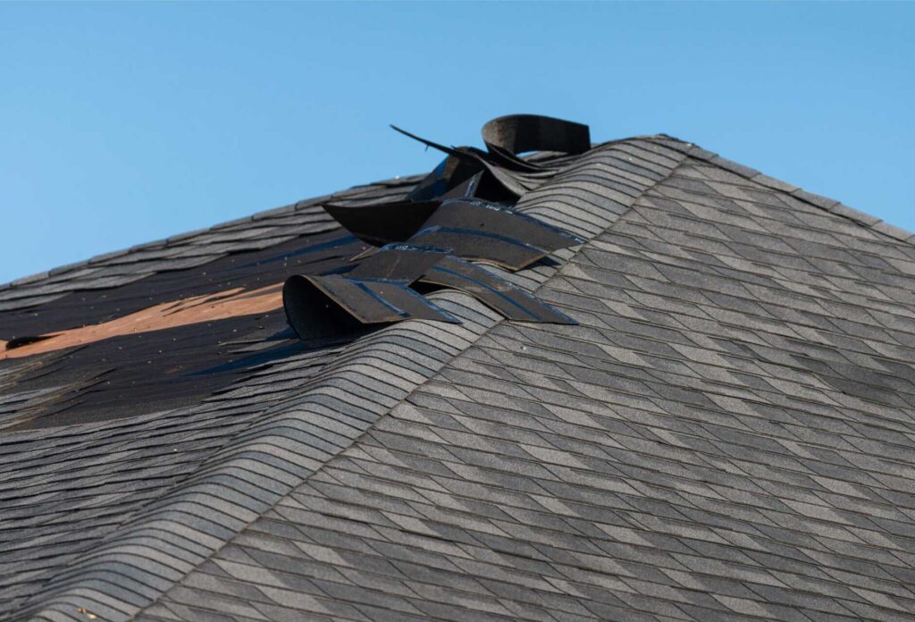 Why Is It Important to Watch for Signs of Roof Damage?