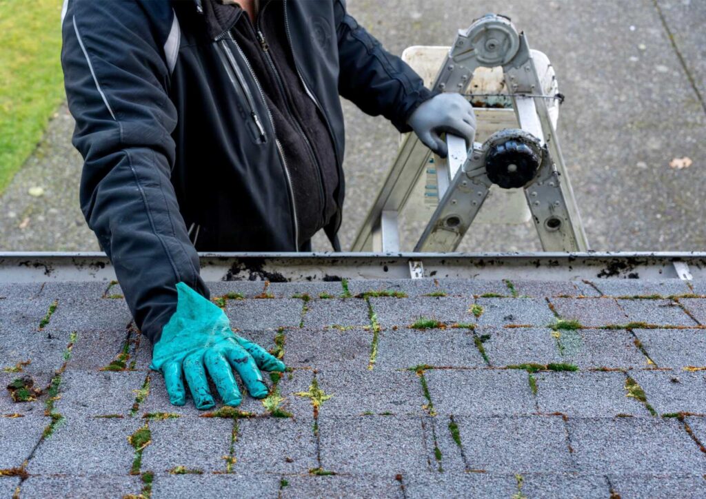 Maintaining Your Roof: The Key to Longevity